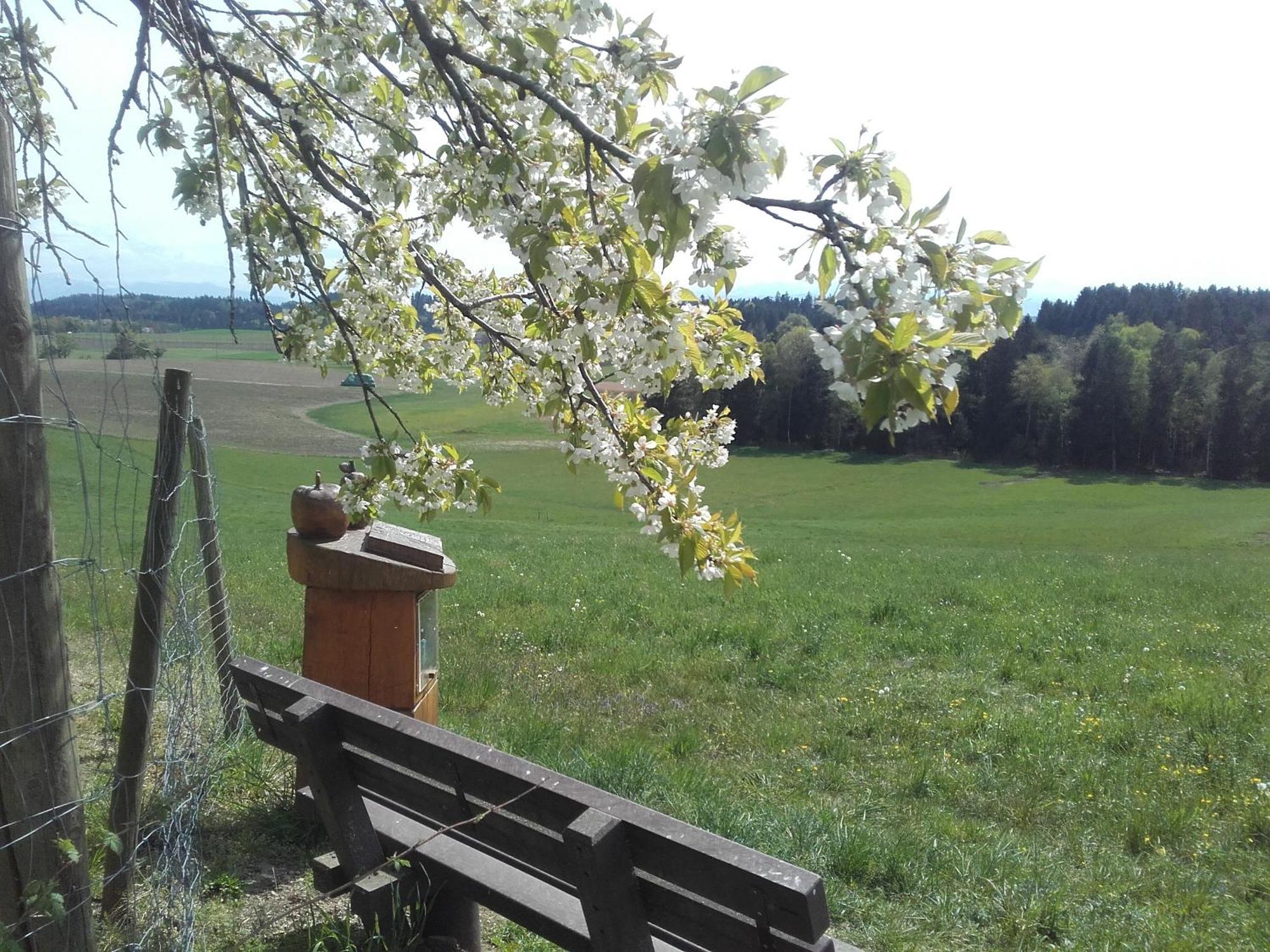 Ferienhof Metzler Bodnegg Εξωτερικό φωτογραφία