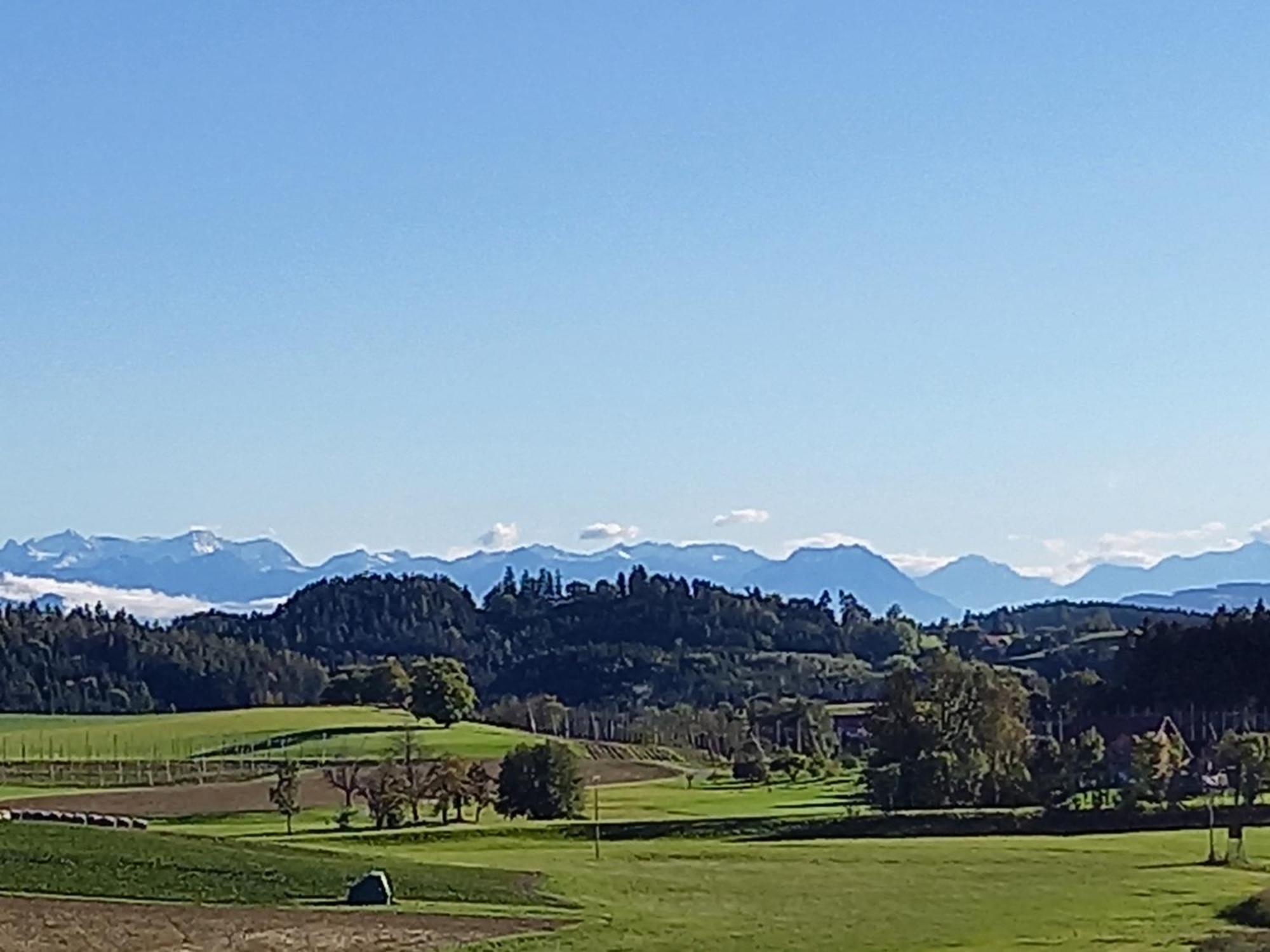 Ferienhof Metzler Bodnegg Εξωτερικό φωτογραφία